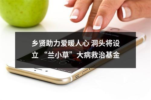 乡贤助力爱暖人心 洞头将设立 “兰小草”大病救治基金