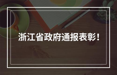 浙江省政府通报表彰！
