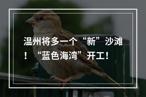 温州将多一个“新”沙滩！“蓝色海湾”开工！