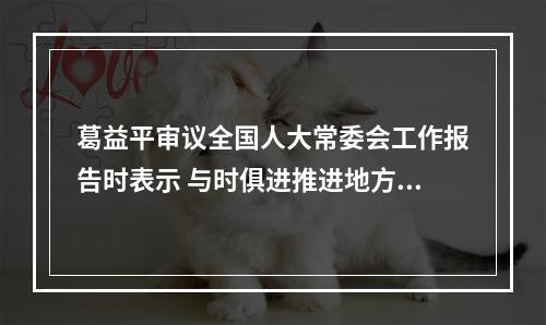 葛益平审议全国人大常委会工作报告时表示 与时俱进推进地方人大工作