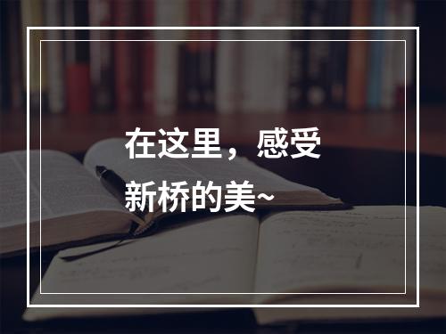 在这里，感受新桥的美~