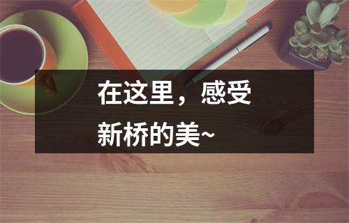 在这里，感受新桥的美~