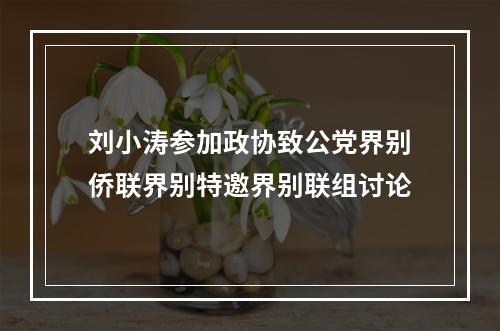 刘小涛参加政协致公党界别侨联界别特邀界别联组讨论