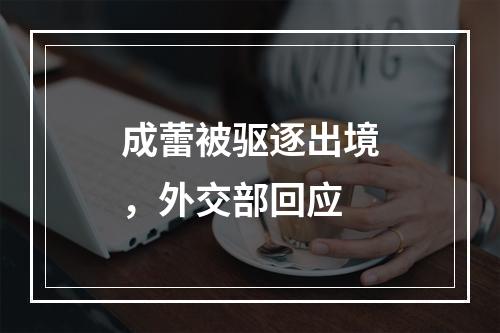 成蕾被驱逐出境，外交部回应