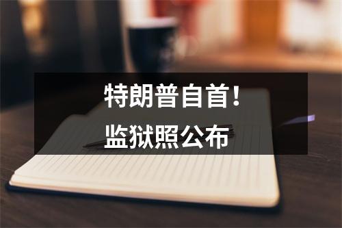 特朗普自首！监狱照公布