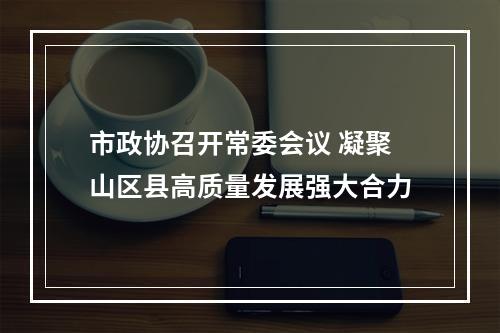 市政协召开常委会议 凝聚山区县高质量发展强大合力