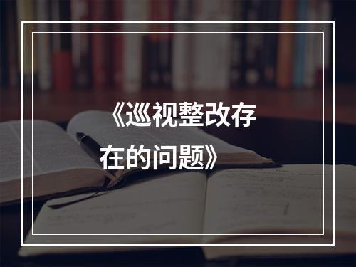 《巡视整改存在的问题》