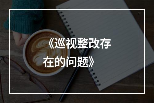 《巡视整改存在的问题》