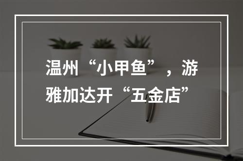 温州“小甲鱼”，游雅加达开“五金店”