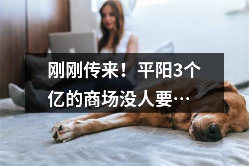 刚刚传来！平阳3个亿的商场没人要…