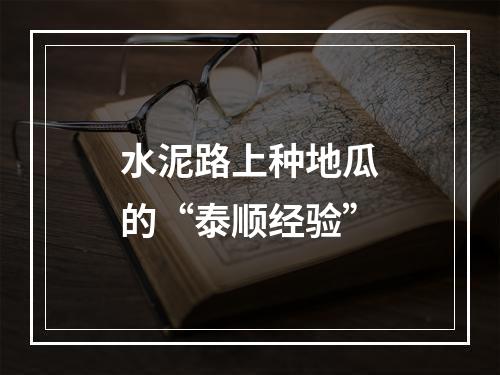 水泥路上种地瓜的“泰顺经验”