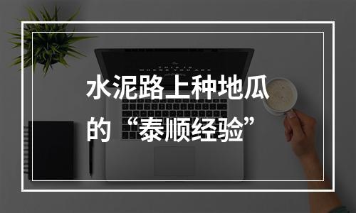 水泥路上种地瓜的“泰顺经验”