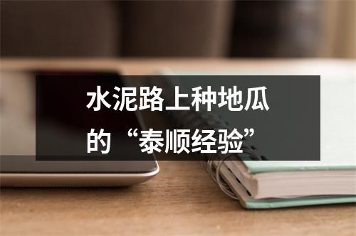 水泥路上种地瓜的“泰顺经验”