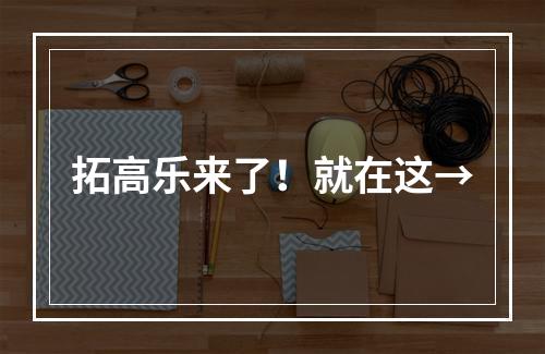 拓高乐来了！就在这→