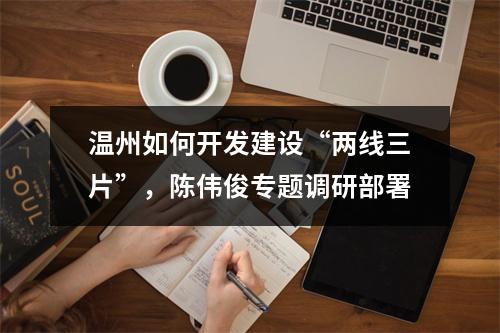 温州如何开发建设“两线三片”，陈伟俊专题调研部署