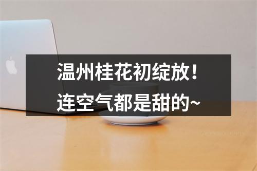 温州桂花初绽放！连空气都是甜的~