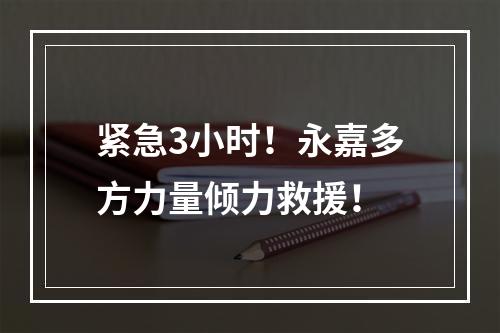 紧急3小时！永嘉多方力量倾力救援！