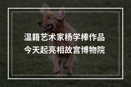 温籍艺术家杨学棒作品 今天起亮相故宫博物院