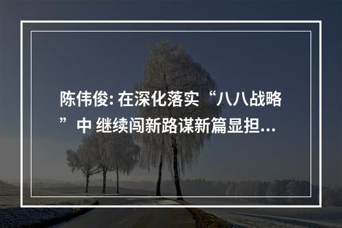 陈伟俊: 在深化落实“八八战略”中 继续闯新路谋新篇显担当