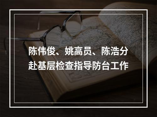 陈伟俊、姚高员、陈浩分赴基层检查指导防台工作