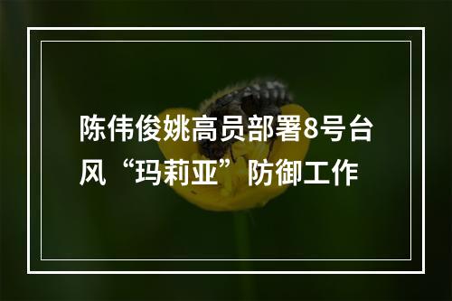 陈伟俊姚高员部署8号台风“玛莉亚”防御工作