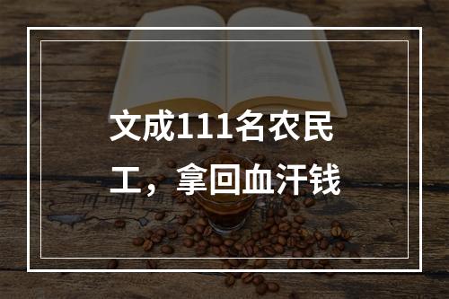 文成111名农民工，拿回血汗钱