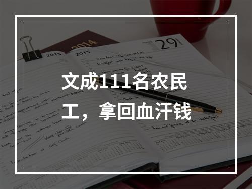 文成111名农民工，拿回血汗钱