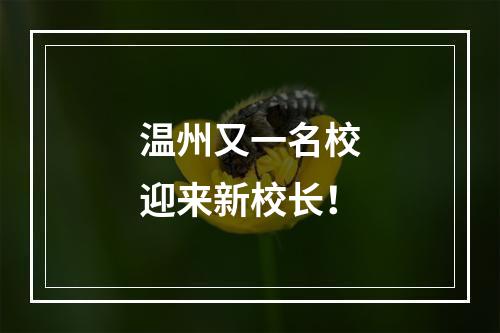 温州又一名校迎来新校长！