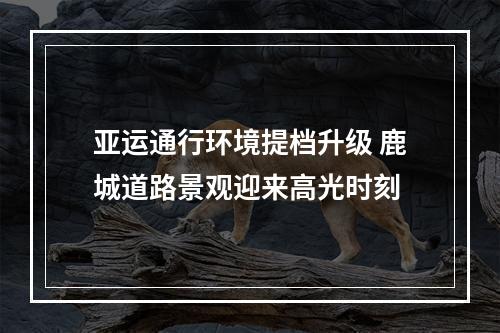 亚运通行环境提档升级 鹿城道路景观迎来高光时刻