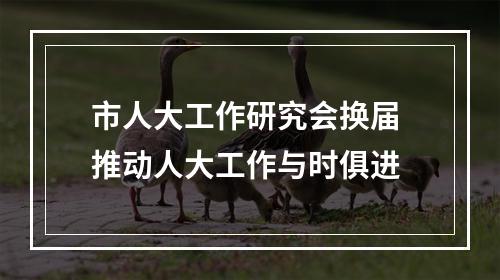 市人大工作研究会换届 推动人大工作与时俱进
