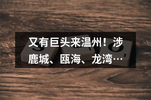又有巨头来温州！涉鹿城、瓯海、龙湾…