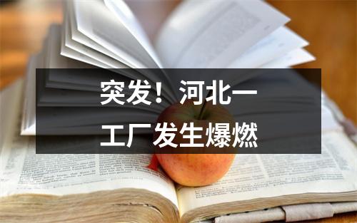 突发！河北一工厂发生爆燃