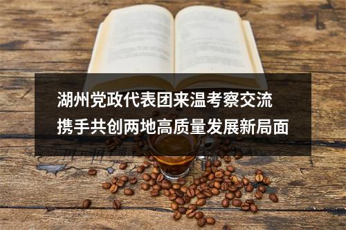 湖州党政代表团来温考察交流 携手共创两地高质量发展新局面