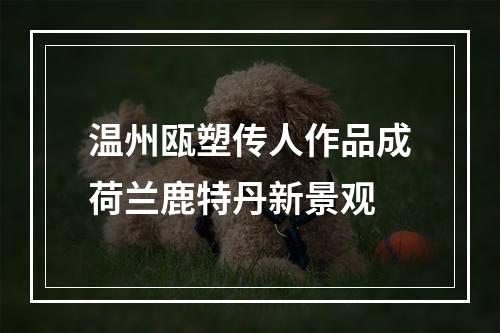 温州瓯塑传人作品成荷兰鹿特丹新景观