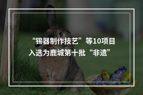 “锡器制作技艺”等10项目入选为鹿城第十批“非遗”