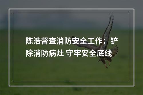 陈浩督查消防安全工作：铲除消防病灶 守牢安全底线
