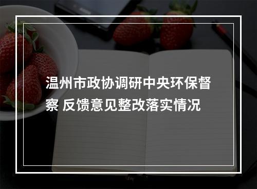 温州市政协调研中央环保督察 反馈意见整改落实情况