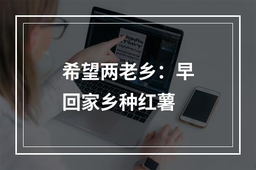 希望两老乡：早回家乡种红薯