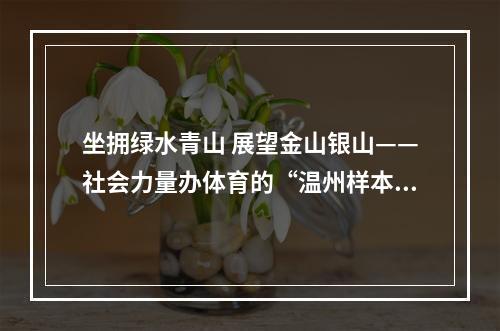 坐拥绿水青山 展望金山银山——社会力量办体育的“温州样本”之五