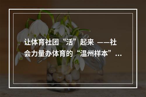 让体育社团“活”起来  ——社会力量办体育的“温州样本”之三