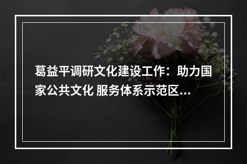 葛益平调研文化建设工作：助力国家公共文化 服务体系示范区创建