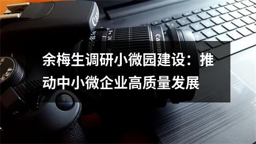 余梅生调研小微园建设：推动中小微企业高质量发展