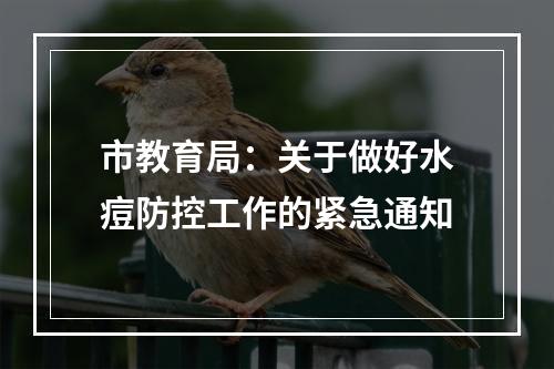 市教育局：关于做好水痘防控工作的紧急通知