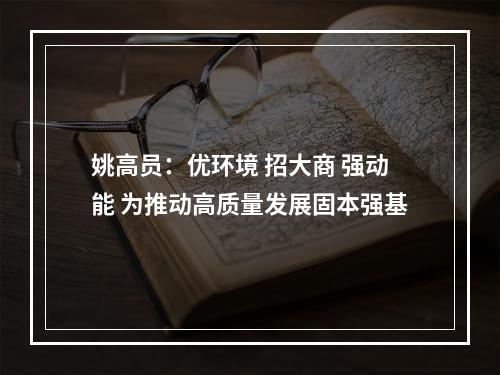 姚高员：优环境 招大商 强动能 为推动高质量发展固本强基
