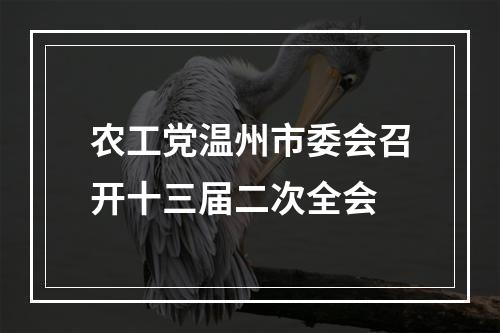 农工党温州市委会召开十三届二次全会