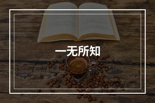 一无所知