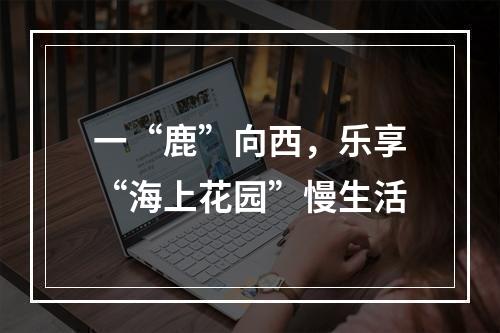 一“鹿”向西，乐享“海上花园”慢生活