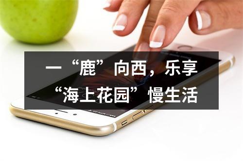 一“鹿”向西，乐享“海上花园”慢生活