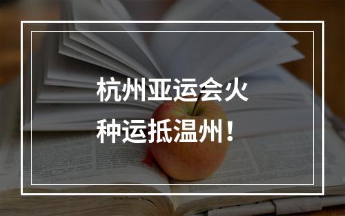 杭州亚运会火种运抵温州！