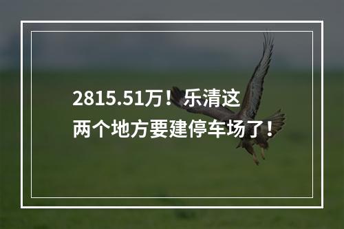2815.51万！乐清这两个地方要建停车场了！